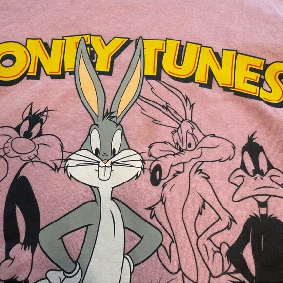 Looney Tunes Bugs Bunny and Gang Crew Neck Sweatshirt Size Youth XXL Powder Pink - Picture 4 of 8